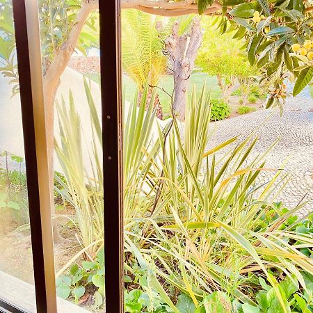 Albufeira Praia Sao Rafael Sun Apartment Zewnętrze zdjęcie