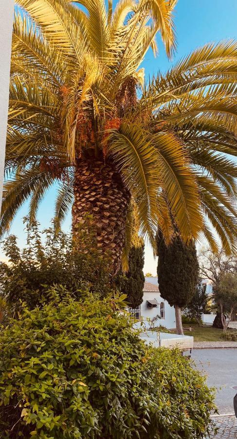 Albufeira Praia Sao Rafael Sun Apartment Zewnętrze zdjęcie